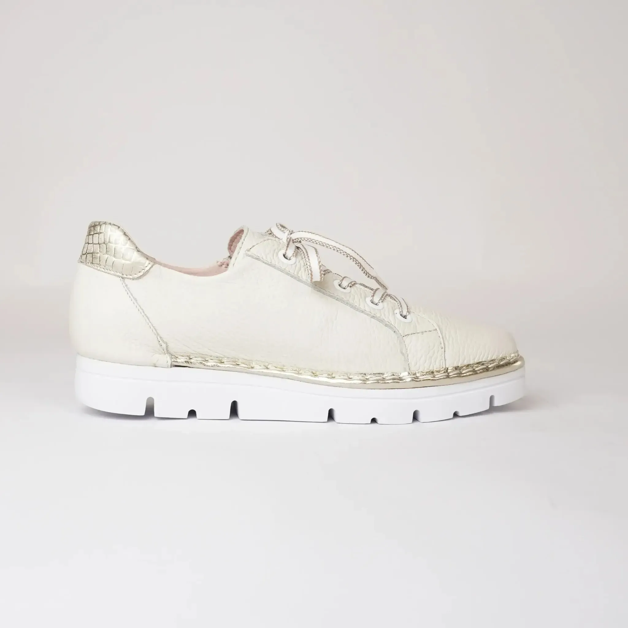 Js-2001 Hielo/Champagne Croc Leather Sneakers