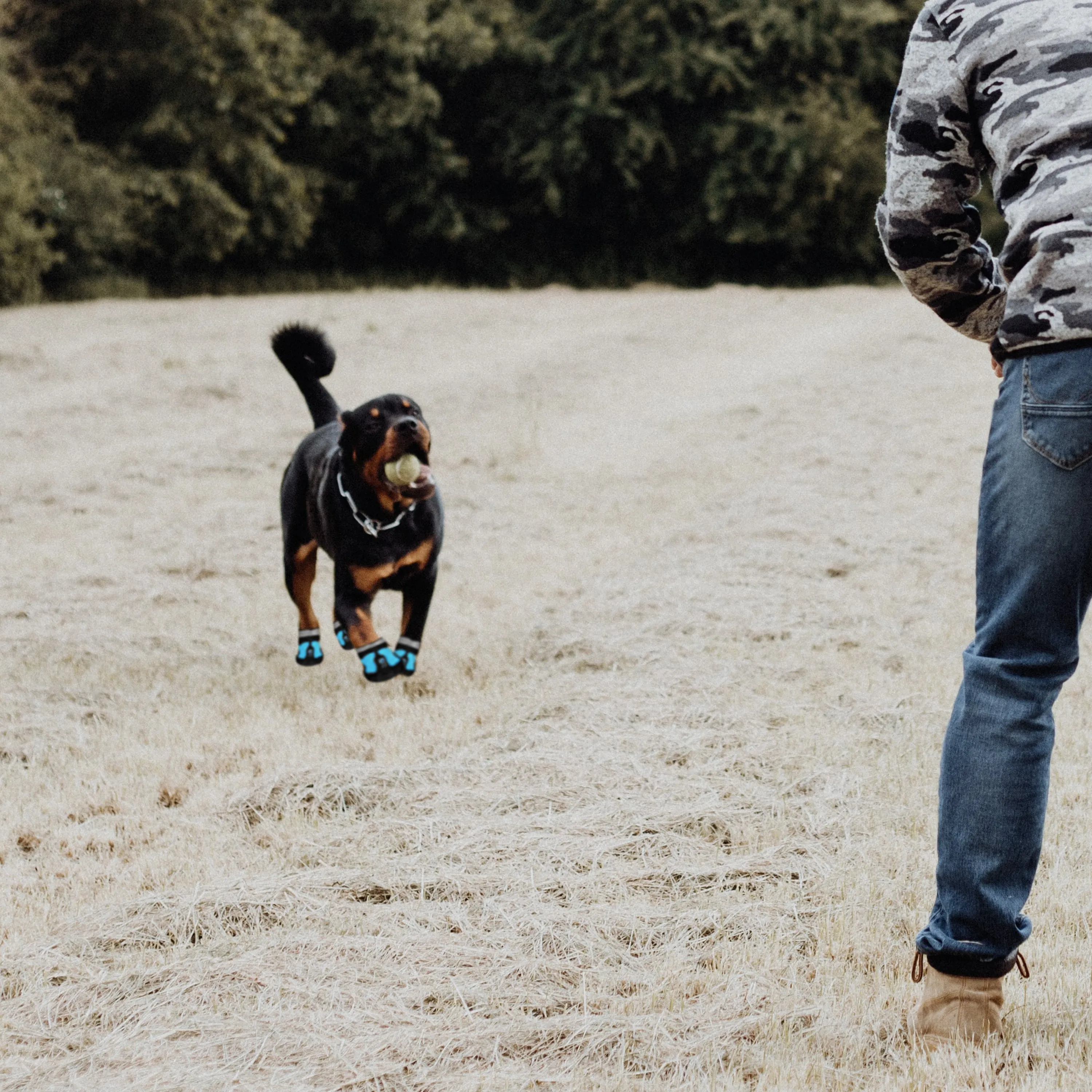 Medium Dog Boots